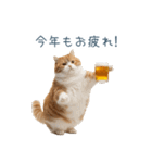新年の酒クズ猫【お正月・面白い】（個別スタンプ：27）