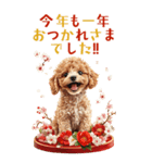 年末年始☆トイプードルお正月BIGスタンプ（個別スタンプ：11）