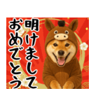 ウマの着ぐるみを着た柴犬 年末年始（個別スタンプ：4）
