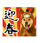 ウマの着ぐるみを着た柴犬 年末年始（個別スタンプ：7）