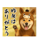 ウマの着ぐるみを着た柴犬 年末年始（個別スタンプ：8）
