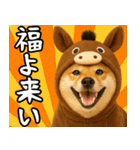 ウマの着ぐるみを着た柴犬 年末年始（個別スタンプ：9）