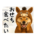 ウマの着ぐるみを着た柴犬 年末年始（個別スタンプ：11）