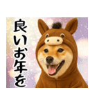 ウマの着ぐるみを着た柴犬 年末年始（個別スタンプ：12）
