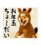 ウマの着ぐるみを着た柴犬 年末年始（個別スタンプ：14）