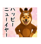 ウマの着ぐるみを着た柴犬 年末年始（個別スタンプ：17）