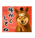 ウマの着ぐるみを着た柴犬 年末年始（個別スタンプ：23）