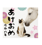 【飛び出す お正月2026 三毛猫】（個別スタンプ：2）