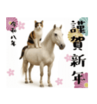 【飛び出す お正月2026 三毛猫】（個別スタンプ：4）