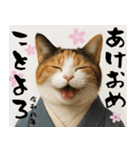 【飛び出す お正月2026 三毛猫】（個別スタンプ：5）