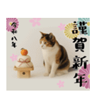 【飛び出す お正月2026 三毛猫】（個別スタンプ：8）