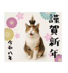 【飛び出す お正月2026 三毛猫】（個別スタンプ：9）