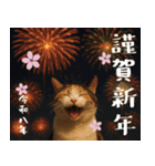 【飛び出す お正月2026 三毛猫】（個別スタンプ：11）