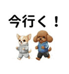 ワンコ大集合！犬好きのための年末年始挨拶（個別スタンプ：18）