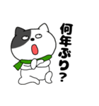 【あけおめ】わるニャン12（個別スタンプ：12）