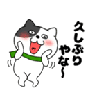 【あけおめ】わるニャン12（個別スタンプ：16）