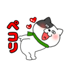 【あけおめ】わるニャン12（個別スタンプ：24）