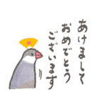 文鳥さんのあけおめスタンプ2026（個別スタンプ：10）