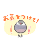 文鳥さんのあけおめスタンプ2026（個別スタンプ：37）