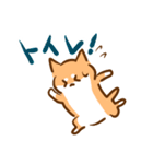 あけおめ！柴犬Mのベストライフな日常。（個別スタンプ：10）