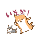 あけおめ！柴犬Mのベストライフな日常。（個別スタンプ：11）