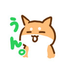 あけおめ！柴犬Mのベストライフな日常。（個別スタンプ：17）