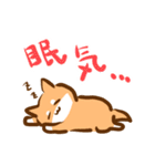 あけおめ！柴犬Mのベストライフな日常。（個別スタンプ：21）