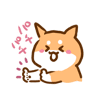 あけおめ！柴犬Mのベストライフな日常。（個別スタンプ：24）