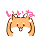 あけおめ！柴犬Mのベストライフな日常。（個別スタンプ：25）