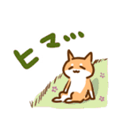 あけおめ！柴犬Mのベストライフな日常。（個別スタンプ：33）