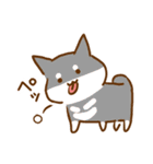 あけおめ！柴犬Mのベストライフな日常。（個別スタンプ：34）