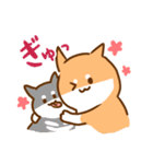 あけおめ！柴犬Mのベストライフな日常。（個別スタンプ：35）