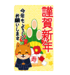 柴犬「ムサシ」ビッグ4 年末年始（個別スタンプ：1）