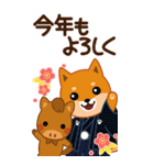 柴犬「ムサシ」ビッグ4 年末年始（個別スタンプ：5）