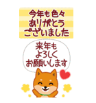 柴犬「ムサシ」ビッグ4 年末年始（個別スタンプ：25）