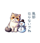 正月ドッド絵猫ちゃん【元旦・あけおめ】（個別スタンプ：19）