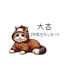 正月ドッド絵猫ちゃん【元旦・あけおめ】（個別スタンプ：30）