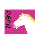 馬の話を聞いてくれ！正月パート7（個別スタンプ：19）