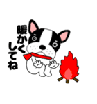 あけおめ】フレンチブルドックのブルちゃん（個別スタンプ：3）