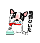 あけおめ】フレンチブルドックのブルちゃん（個別スタンプ：13）