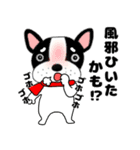 あけおめ】フレンチブルドックのブルちゃん（個別スタンプ：15）