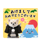 名入れ☆癒しチワワの毎年使える年賀状（個別スタンプ：1）