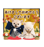 名入れ☆癒しチワワの毎年使える年賀状（個別スタンプ：3）