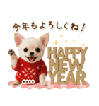 名入れ☆癒しチワワの毎年使える年賀状（個別スタンプ：6）
