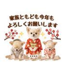 名入れ☆癒しチワワの毎年使える年賀状（個別スタンプ：9）