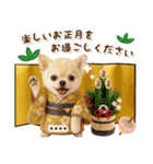名入れ☆癒しチワワの毎年使える年賀状（個別スタンプ：15）