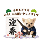 名入れ☆癒しチワワの毎年使える年賀状（個別スタンプ：16）
