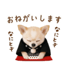 名入れ☆癒しチワワの毎年使える年賀状（個別スタンプ：24）