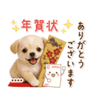 名入れ☆癒しチワワの毎年使える年賀状（個別スタンプ：25）