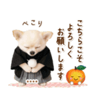 名入れ☆癒しチワワの毎年使える年賀状（個別スタンプ：28）